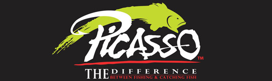 Picasso  Susquehanna Fishing Tackle