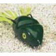 Southern Lure Scum Frog - green