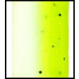 Yamamoto Senko 5 inch Laminate Colors - 909-chartreuse shad