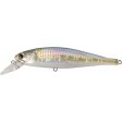 Lucky Craft Pointer 100 - ms american shad