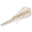 War Eagle Spinnerbait Replacement Skirts - white gold